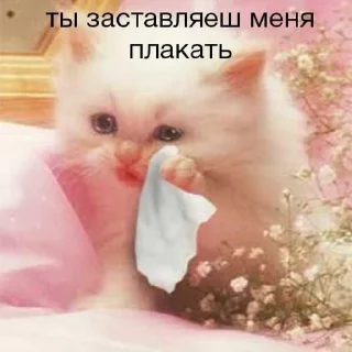 😓