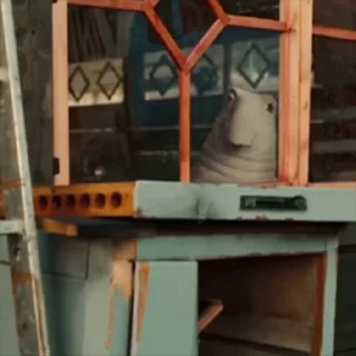 🤩