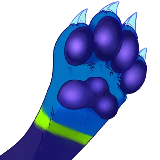 🐾