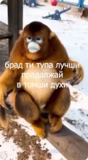 👏