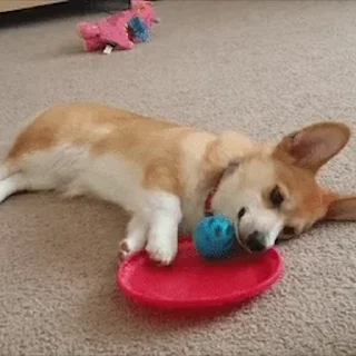 😑