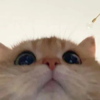😳