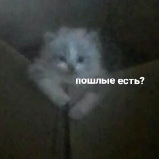 😏