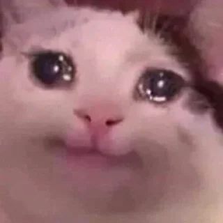 😌