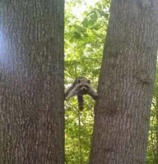 🤫