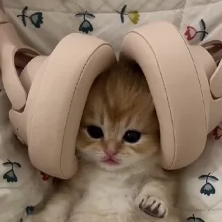 🎧