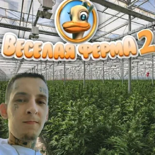 🌿