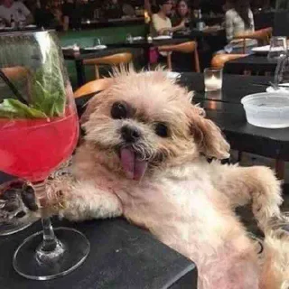 🍷