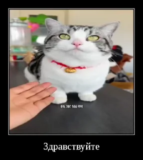 👋