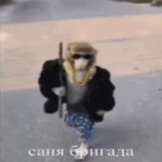 😎