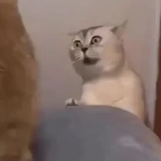 😧