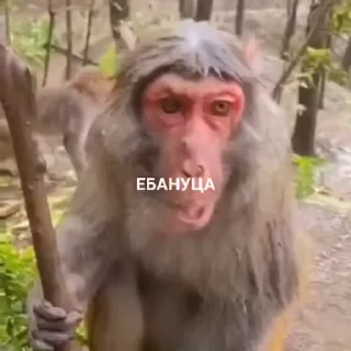 😮