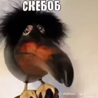 👮‍♂️