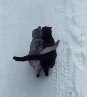 👩‍❤️‍👨