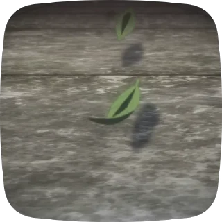 🍃