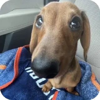 🙃