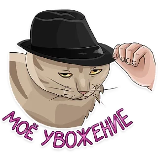 🫡