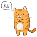 🐱