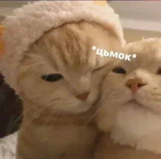 ❤️‍🔥