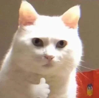 👍