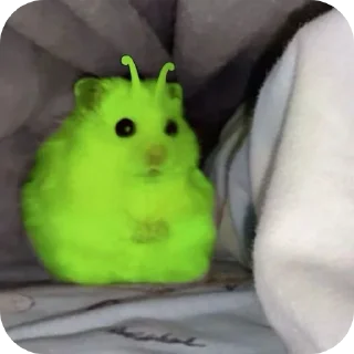 🧸