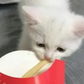 🧂