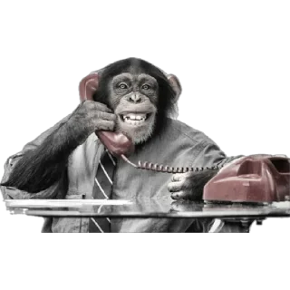 📞