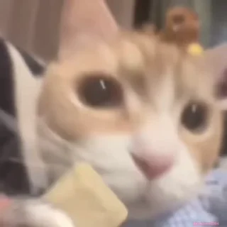😋