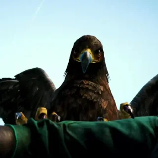 🦅