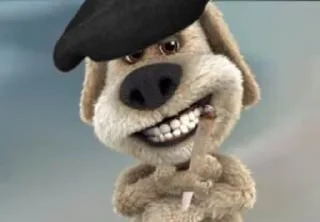 🐶