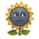 🌻