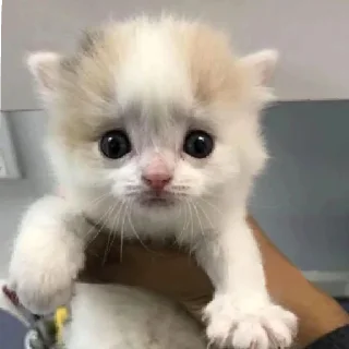 😟