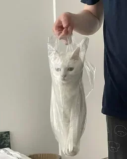 😐