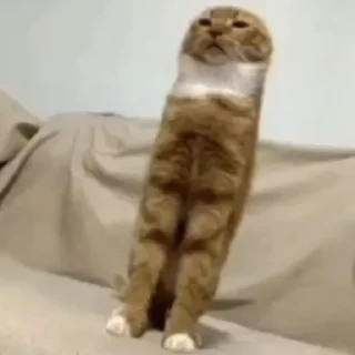 😐