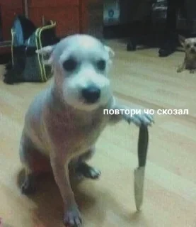 😡
