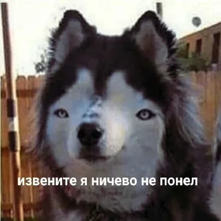 🤔