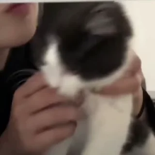 🥰