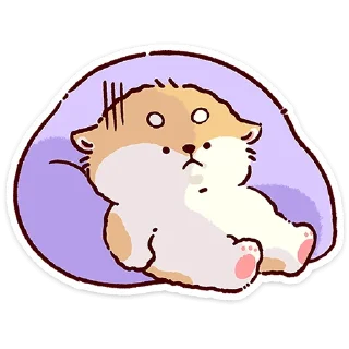 🌟