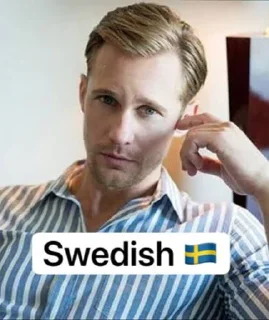 🇸🇪