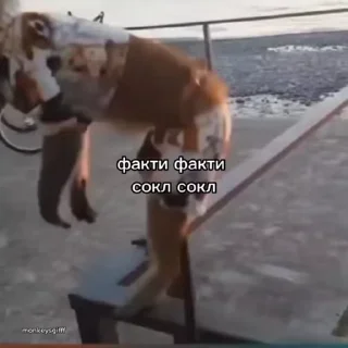 🙂