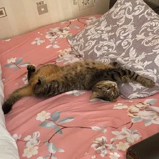 😐