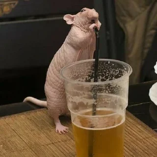 🍺