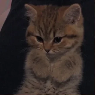 💗