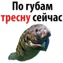😉