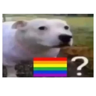 🏳️‍🌈