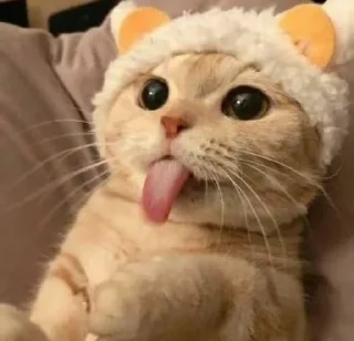 🥺