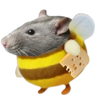 🐀