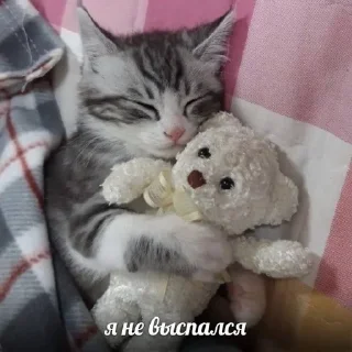 🌟