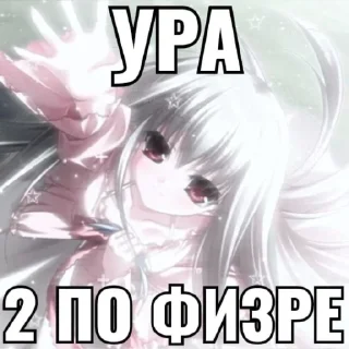 🌸