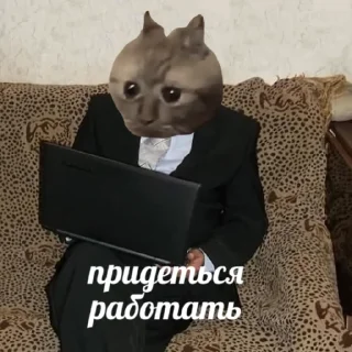 😳